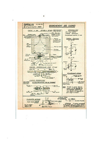 img20250324_19393532