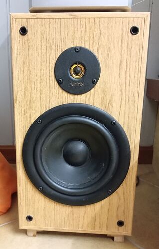 Enceinte Infinity réparée