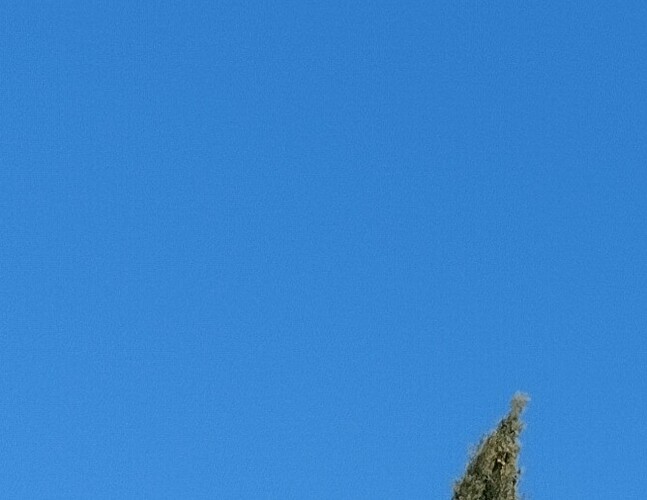 ciel