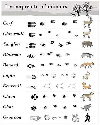 506530339_9901185009988906_8582926451424682640_n