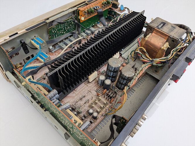 PXL_20241231_110659118