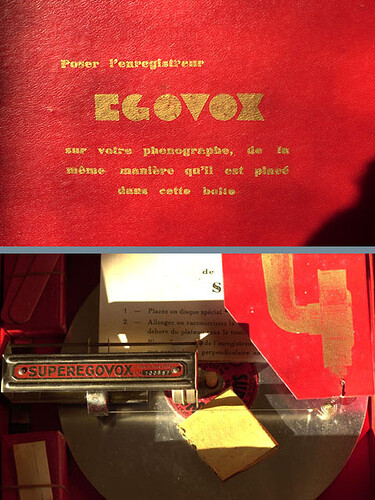 egovox