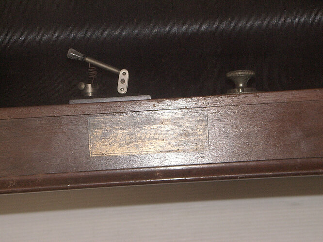 IMGP5919