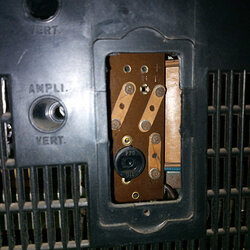 IMG_20250828_084506_7951