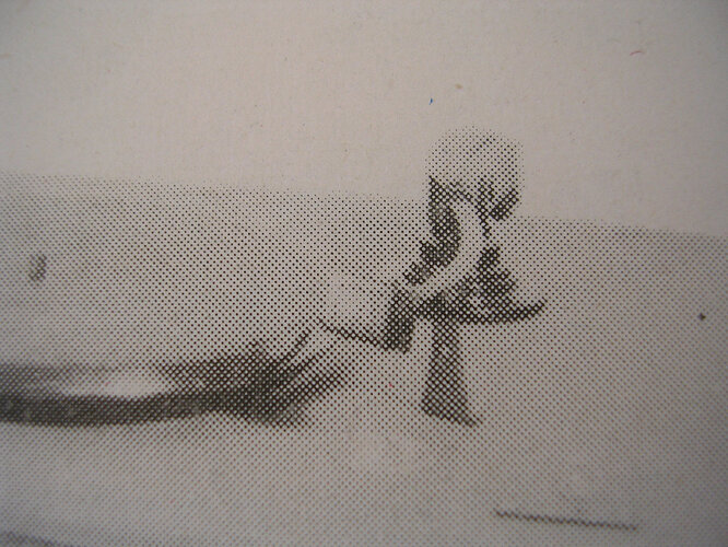 DSCN5232