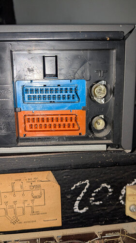 PXL_20251023_125628184.RAW-01.COVER