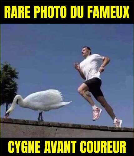 552716454_1197499159070841_1487159584004472173_n