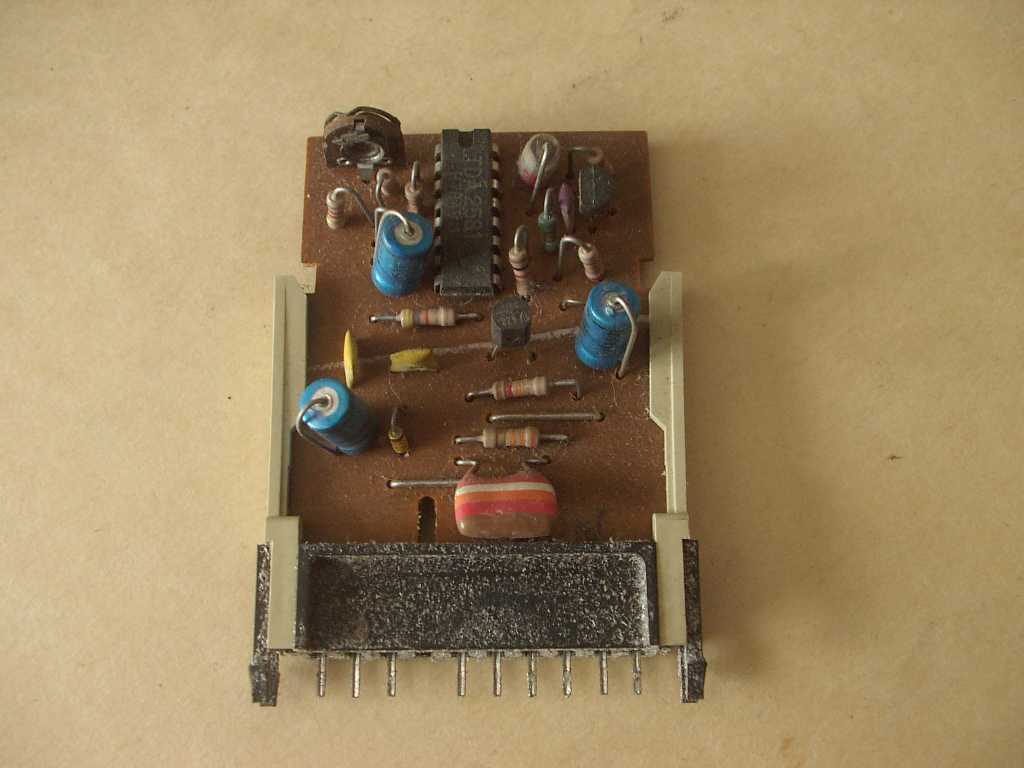 IMGP7664-redim1024.JPG