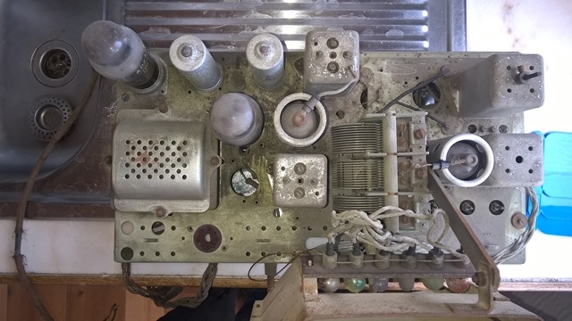 stern1