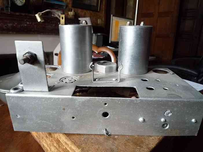 traité au zèbracier.JPG