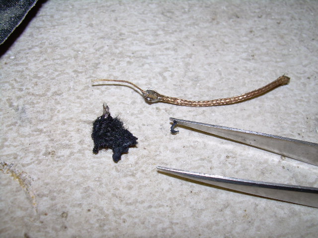 DSCN1009.JPG