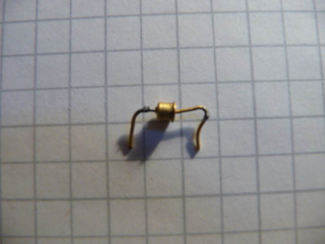 P1040155.JPG