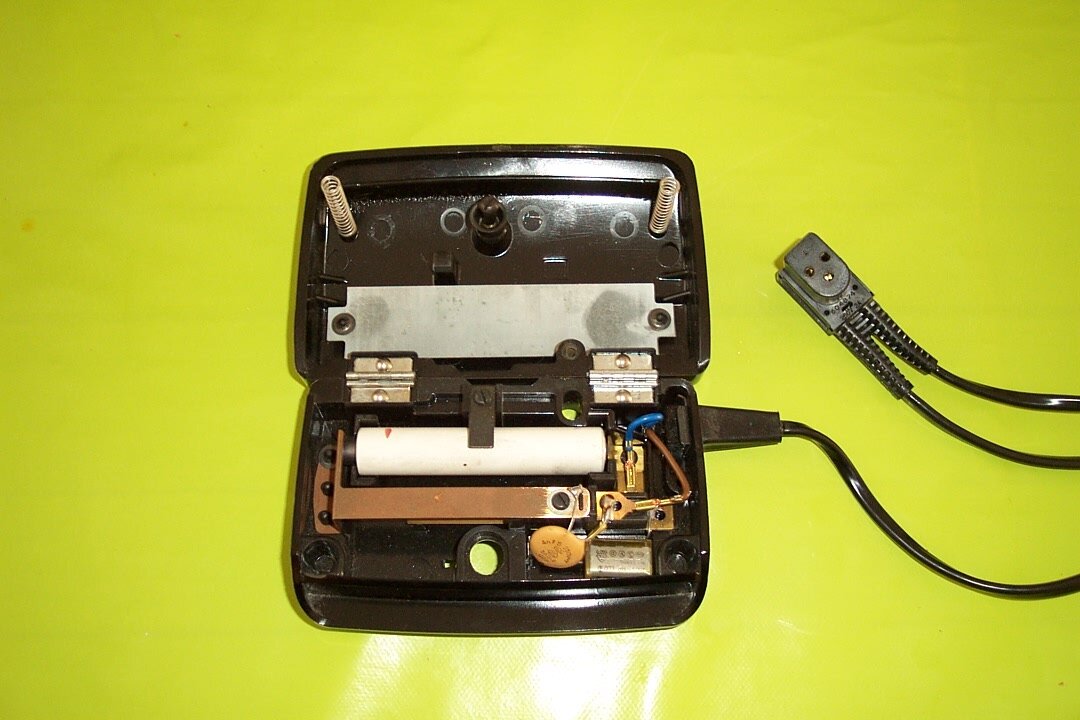 Singer1.JPG
