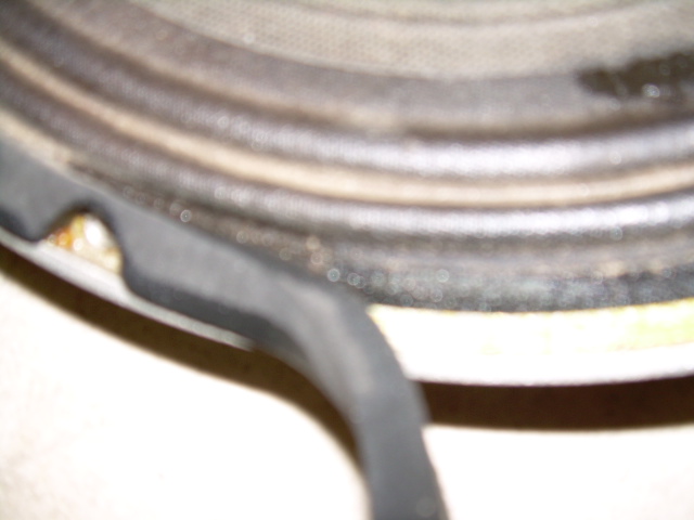 DSCN0985.JPG