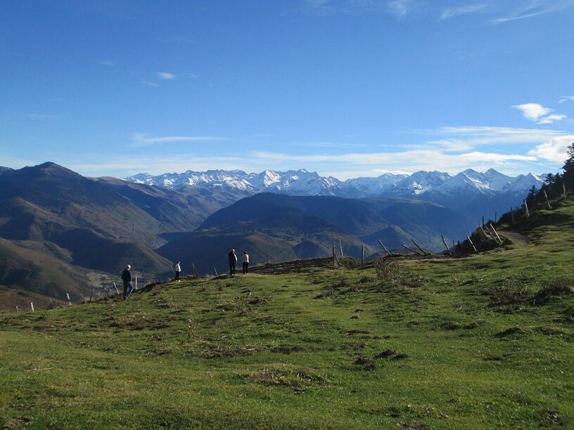 aspin.JPG