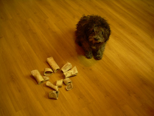 DSCN4505.jpg