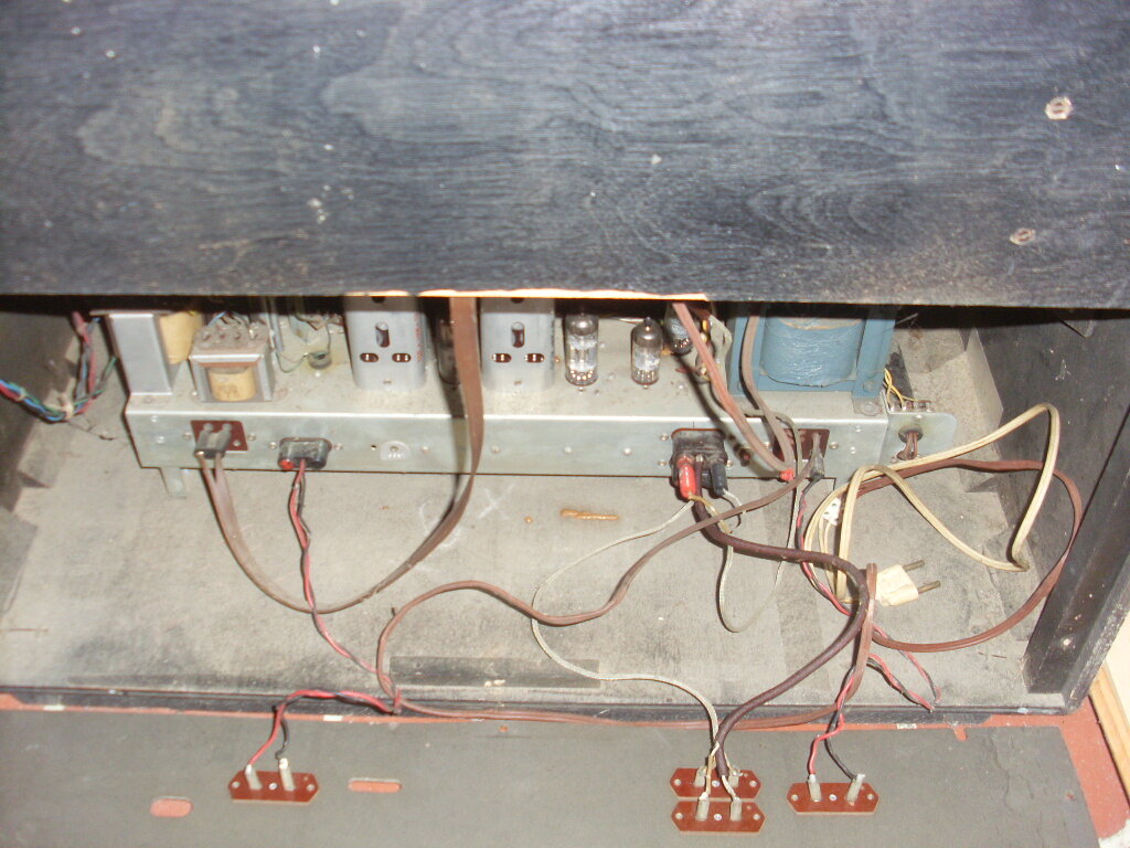 SL384551.JPG