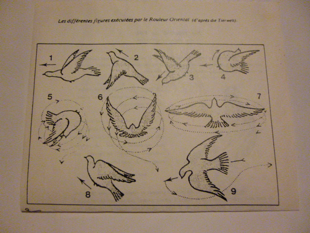 P1060076