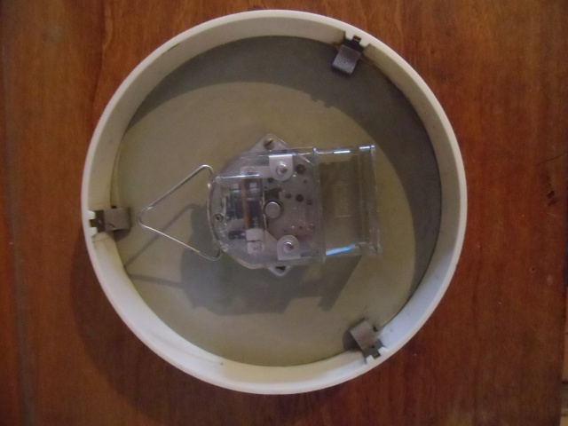 118854Photo3206.jpg