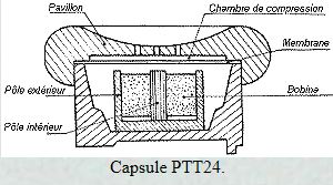 ptt24