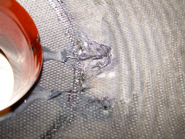DSCN1008.JPG