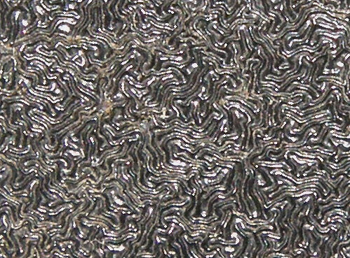 Centrad_19_1a_lt.jpg