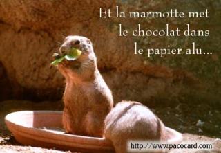 marmotte-papier-a...chocolat-15dba18