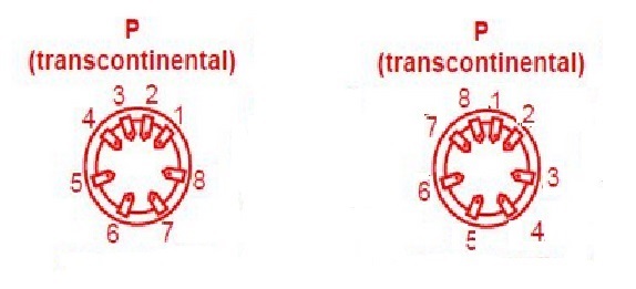 num%C3%A9rotation%20tube%20transco