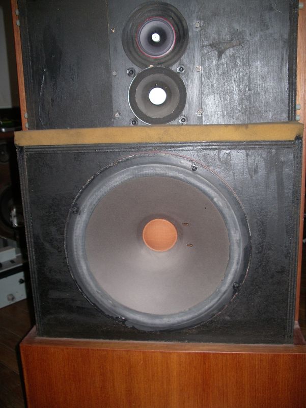 IMGP4607.jpg
