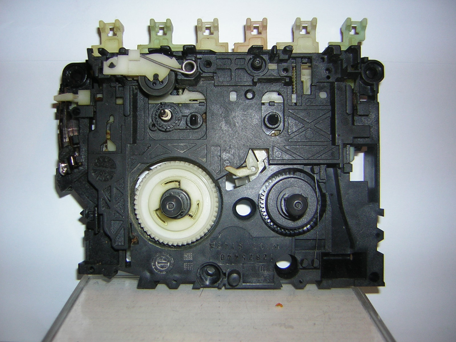 DSCN0922.JPG