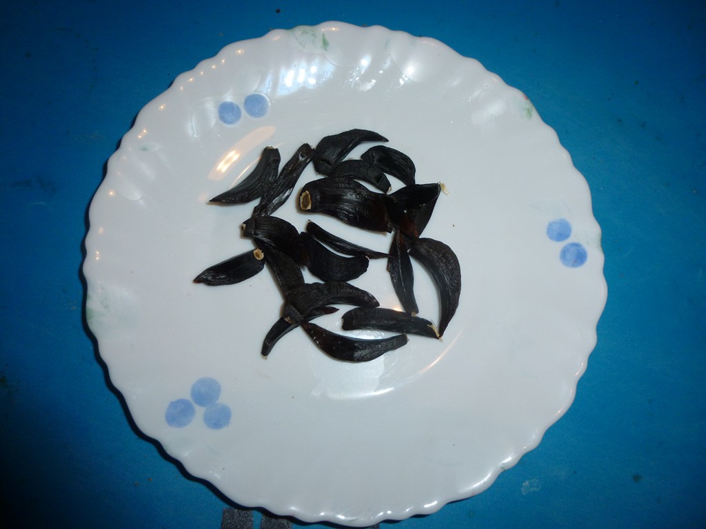 L'ail noir 002 (Copier).JPG