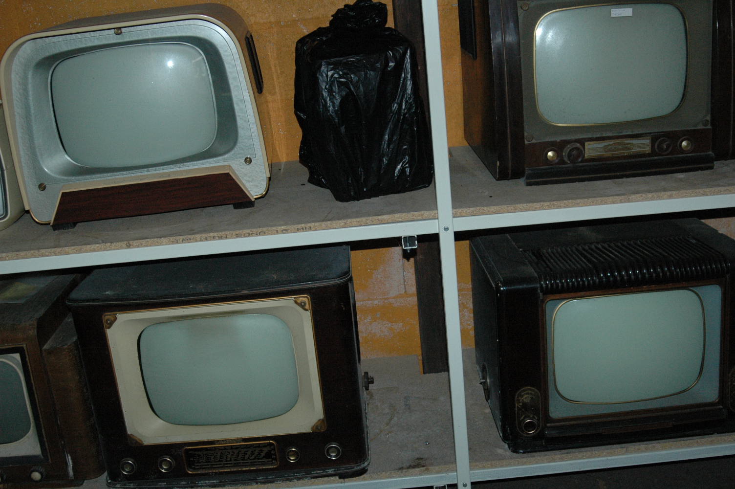 DSC_5646.JPG