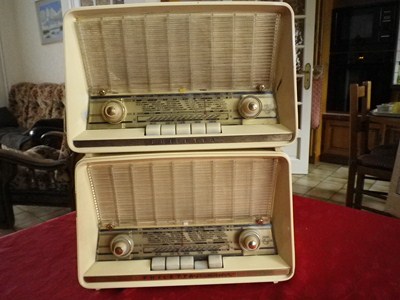 IMGP0390 (Copier).JPG