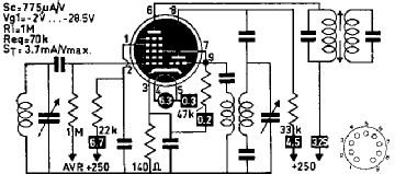 ech81