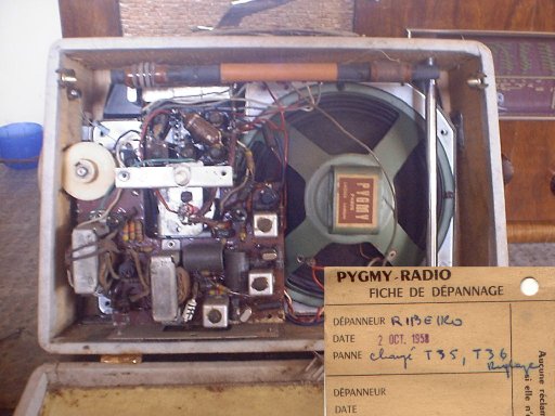 Pygmy_Polytron.jpg