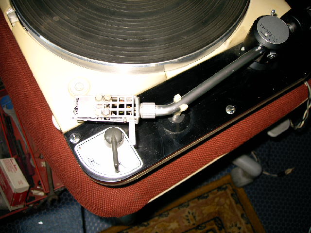 003.JPG