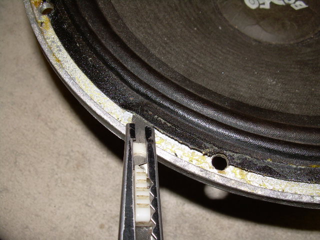 DSCN0989.JPG