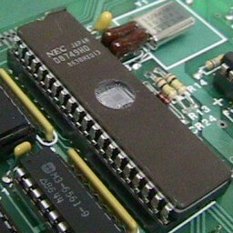 D8749.jpg