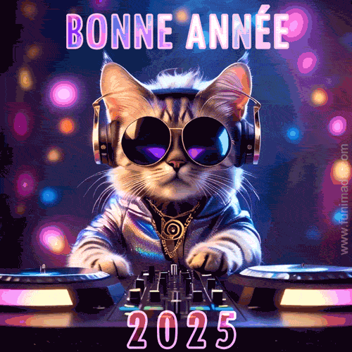 chat dj