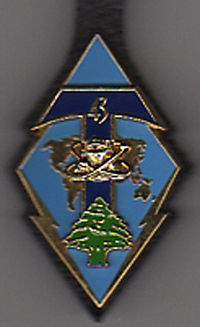 200px-Insigne_régimentaire_du_43e_Bataillon_de_Transmissions
