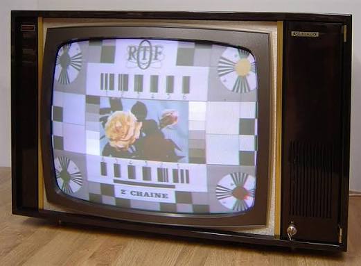 17733913173322858960410712334262